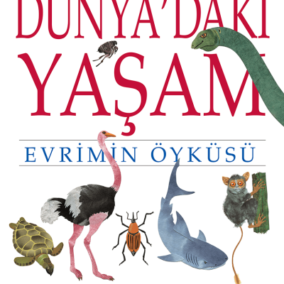 Dünya’daki Yaşam