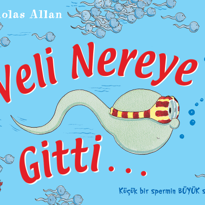 Veli Nereye Gitti...